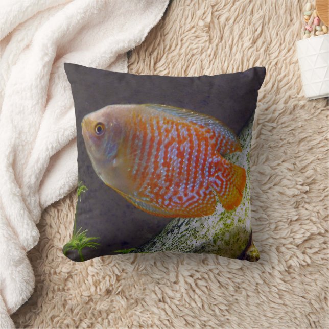 Dwarf Gourami Fish Cushion (Blanket)