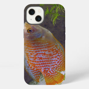 Dwarf Gourami Fish iPhone 13 Case