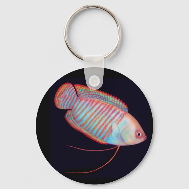 Dwarf Gourami Tropical Fish Keychain (Front)