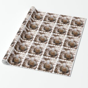 Dwarf Mongoose Wrapping Paper