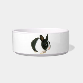 Dwarf Rabbit Bunny Pet Bowl