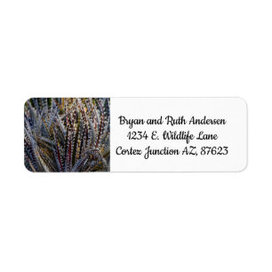 Dyckia delight return address label