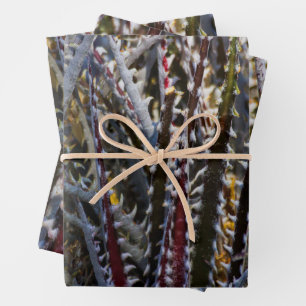 Dyckia delight  wrapping paper sheet