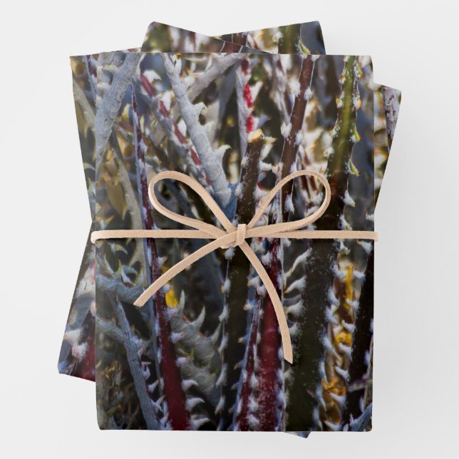 Dyckia delight  wrapping paper sheet (In situ)