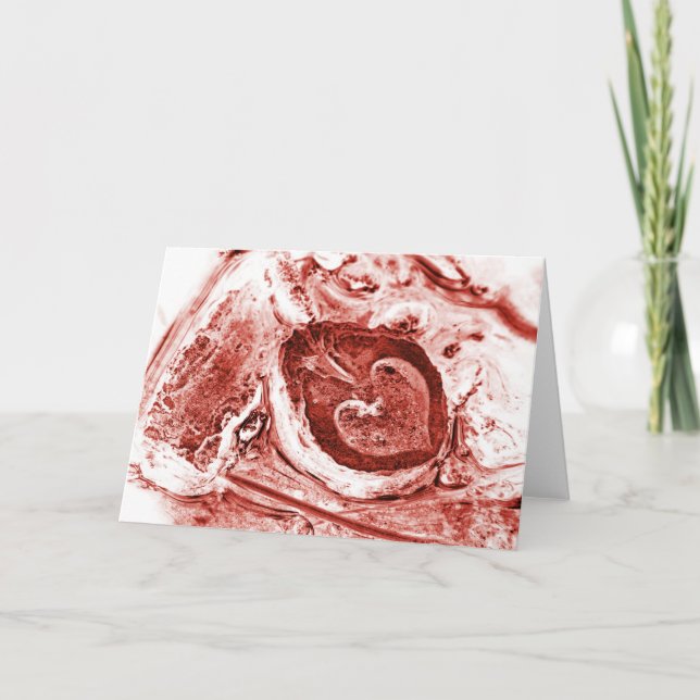 dying apart holiday card (Front)