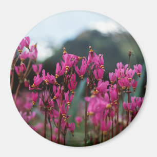 Dynamic Shooting Stars Magnet
