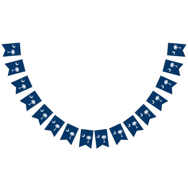 Dynamic South Carolina State Flag Graphic on a (All)