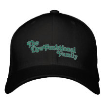 DysFunk Fitted Hat 1