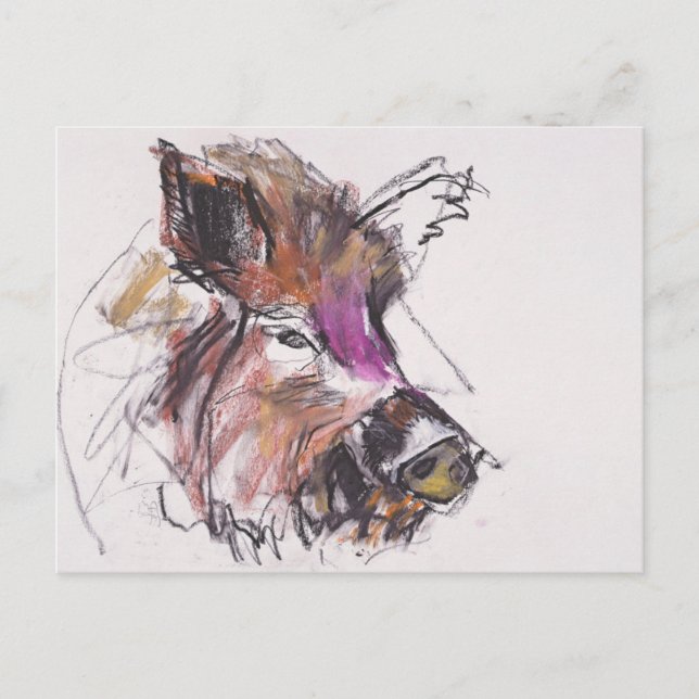 Dzik Postcard (Front)