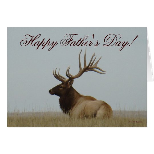 E0015 Bull Elk Card