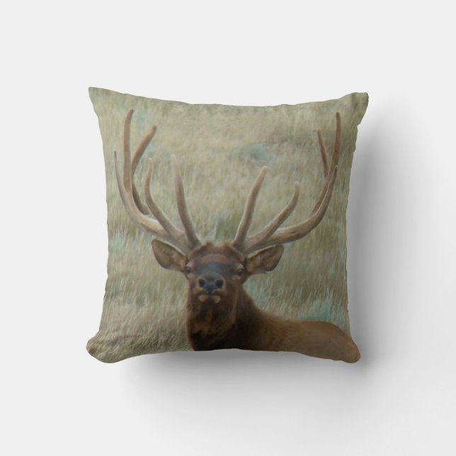 E10 Bull Elk in Velvet Head Cushion (Front)