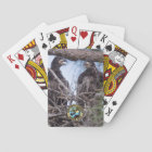 E10 & E11 Playing Cards