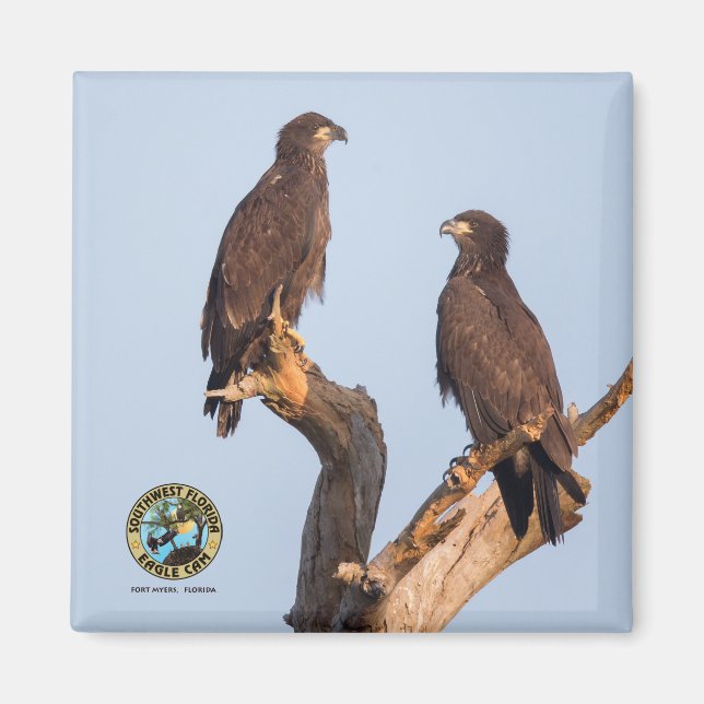 E12 & E13 Magnet (Front)