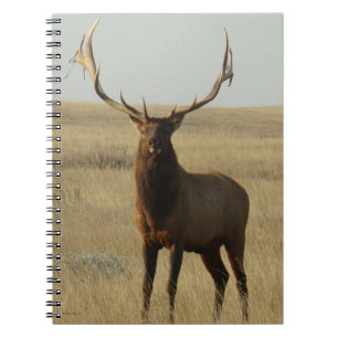 E13 Bull Elk Grass in Horns Notebook