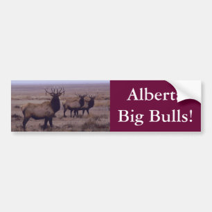 E19 Bull Elk Double Drop Tines Bumper Sticker