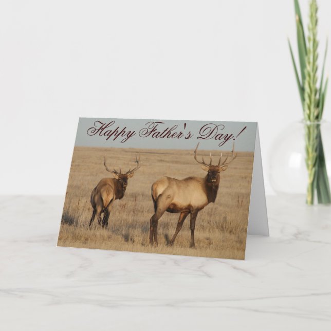 E1 Bull Elk Card (Front)