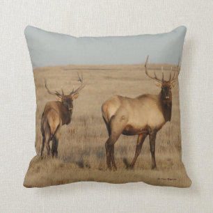 E1 Bull Elk Cushion