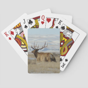E22 Bull Elk and Snowy Hills Playing Cards
