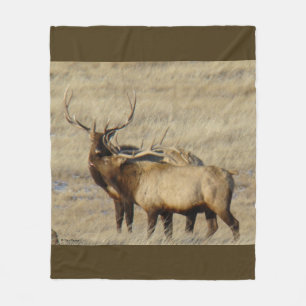 E24 Bull Elk Fleece Blanket