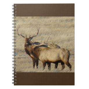 E24 Bull Elk Notebook