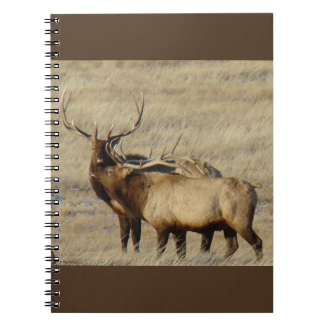 E24 Bull Elk Notebook (Front)