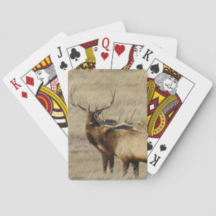 E24 Bull Elk Playing Cards
