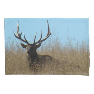 E26 Bull Elk Laying in the Weeds Pillowcase