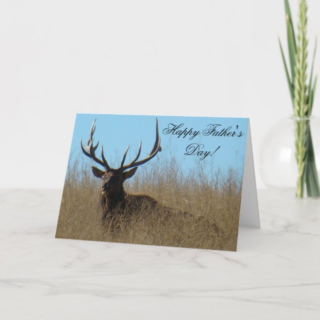 E26 Bull Elk Laying in Weeds Card (Front)