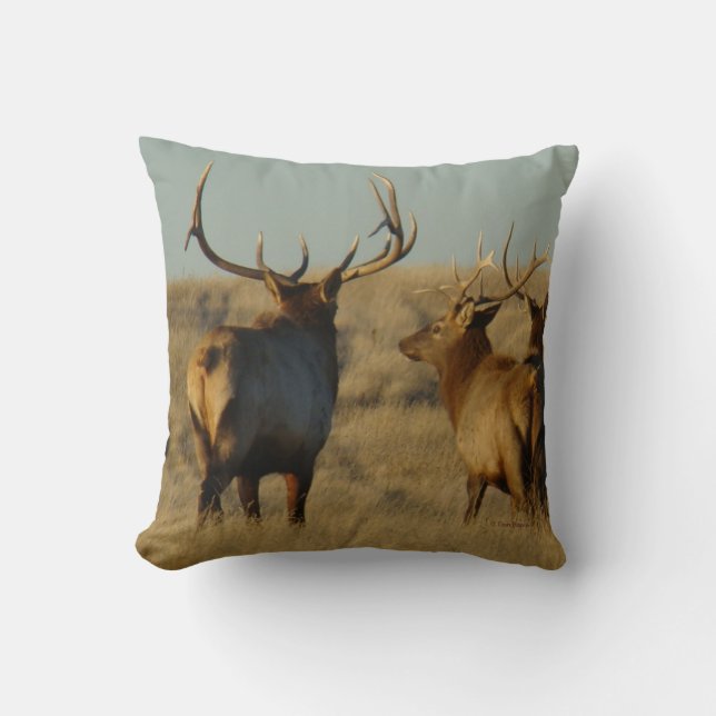 E28 Bull Elk Cushion (Front)