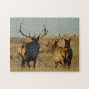 E28 Bull Elk Walking Away Jigsaw Puzzle
