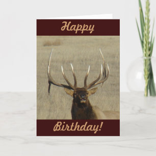 E29 Bull Elk Head Card