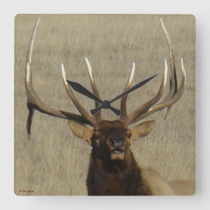 E29 Bull Elk Head Shot Square Wall Clock