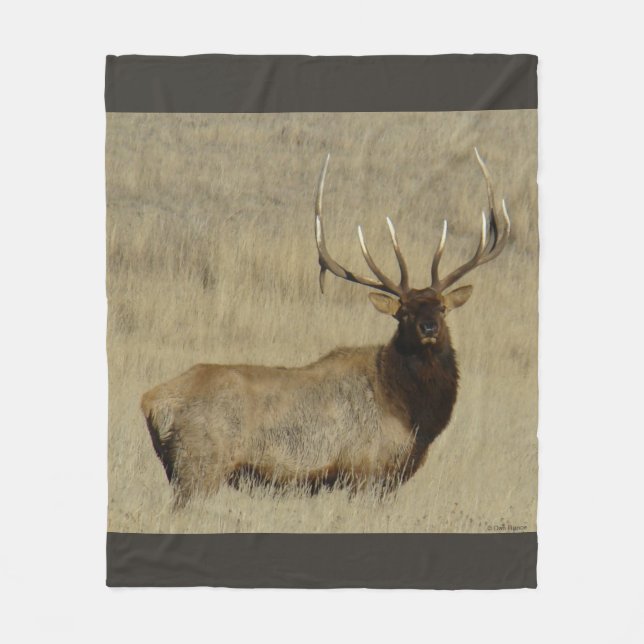 E30 Bull Elk Big Bull Fleece Blanket (Front)