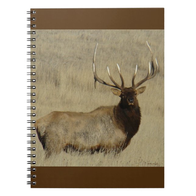 E30 Bull Elk Big Bull Notebook (Front)