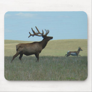 E34 Bull Elk and Antelope Mouse Pad