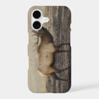 E40 Bull Elk Bugling