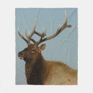 E42 Bull Elk Head and Shoulders Fleece Blanket