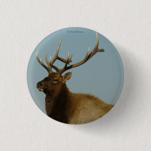 E42 Young Bull Elk 3 Cm Round Badge