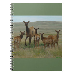 E44 Cow Elk and Calves Notebook