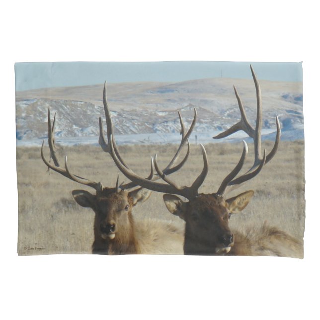 E45 Bull Elk Double Head Shot Pillowcase (Front)