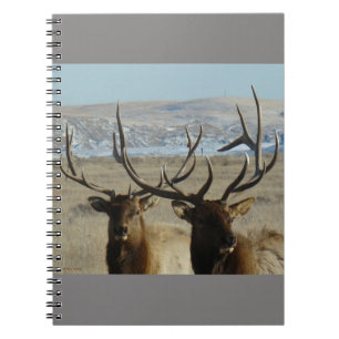 E45 Bull Elk Heads Notebook