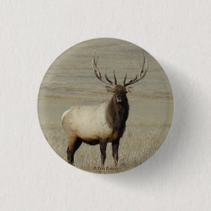 E46 Bull Elk Big Bull 3 Cm Round Badge