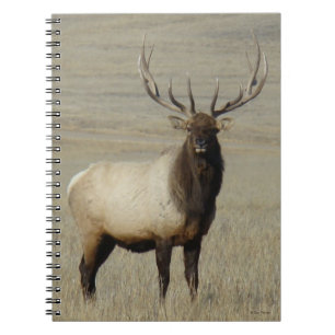 E46 Bull Elk Big Bull Notebook