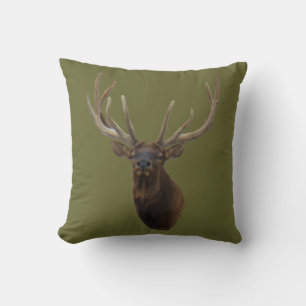 E48 Bull Elk Head in Velvet Cushion