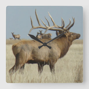 E4 Big Bull Elk Square Wall Clock