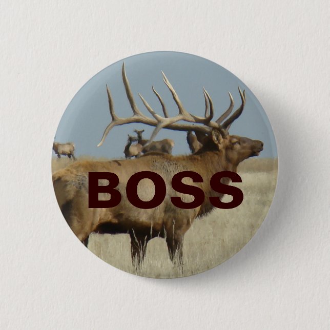 E4 Bull Elk 6 Cm Round Badge (Front)