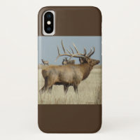 E4 Bull Elk