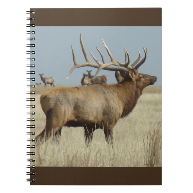 E4 Bull Elk Herd Master Notebook (Front)