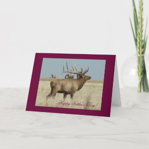 E4 Bull Elk Huge Bull Card