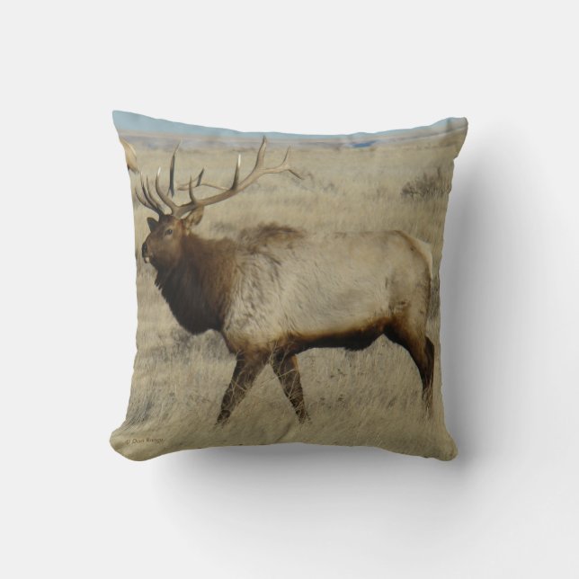 E55 Bull Elk Cushion (Front)